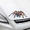 2 PCS Creative Personality Scratch Cover  Car Body Sticker(Black Spider)