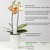 International Version Original Xiaomi Mi Bluetooth Smart Plants Monitor Flower and Plants Tester Mi Plants Nutrient / Soil Moisture / Temperature / Light Sensor Detector(White)