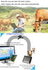 REACHFAR RF-V26 Solar Power Waterproof IP66 Anti-Remove GSM Smart GPS Tracker for Sheep Cow Cattle Animal(Black)