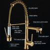 Copper Pull Type Large Spring Double Outlet Kitchen Sink Hot Cold Faucet