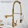 Copper Pull Type Large Spring Double Outlet Kitchen Sink Hot Cold Faucet