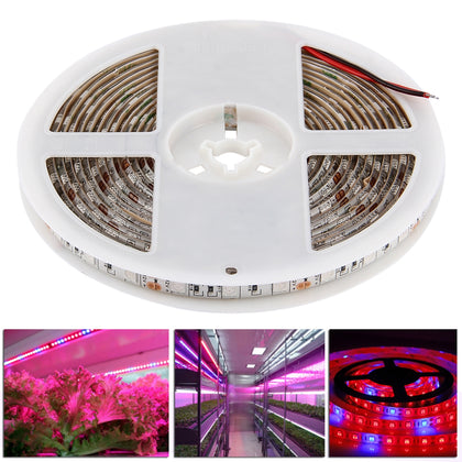 5m SMD 5050 3:1 Red + Blue LED Plant Grows Lamp, 300 LEDs Aquarium Greenhouse Hydroponic Waterproof Epoxy Rope Light, 60 LEDs/m, D