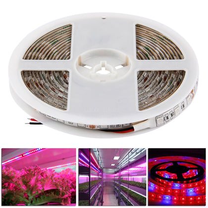 5m SMD 5050 4:1 Red + Blue LED Plant Grows Lamp, 300 LEDs Aquarium Greenhouse Hydroponic Waterproof Epoxy Rope Light, 60 LEDs/m, D