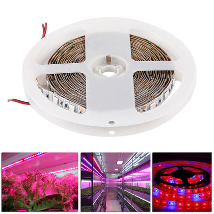5m SMD 5050 4:1 Red + Blue LED Plant Grows Lamp, 300 LEDs Aquarium Greenhouse Hydroponic Bare Board Rope Light, 60 LEDs/m, DC 12V