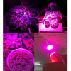 E27 21W 7 LEDs 1300 LM LED Plant Growth Light Greenhouse Light Aquarium Light(Red Light + Blue Light)