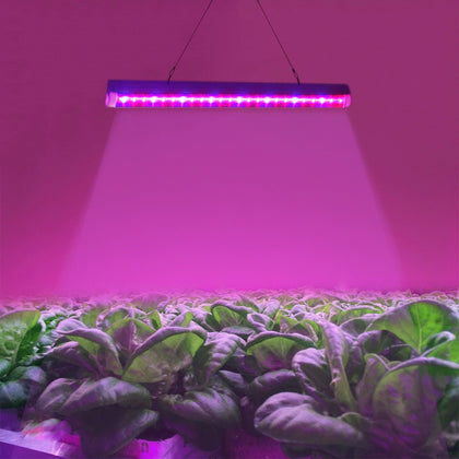 T5 4.8W Red Light + Blue Light LED Plant Growth Light, 24 LEDs Greenhouse Light Aquarium Light