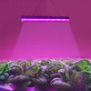 T5 4.8W Red Light + Blue Light LED Plant Growth Light, 24 LEDs Greenhouse Light Aquarium Light