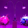 10W Red Light + Blue Light Flexible Lamp Holder Clip LED Plant Growth Light, 10 LEDs 360 Degrees Greenhouse Light Aquarium Light,
