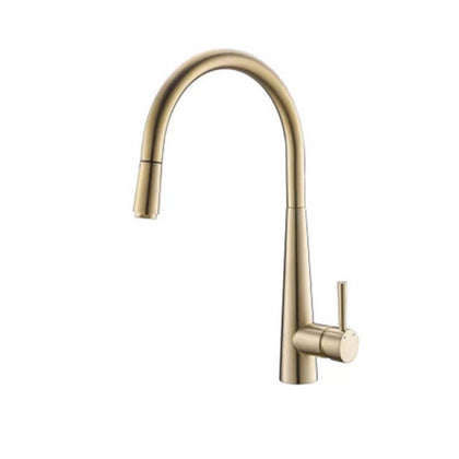 Kitchen Faucet Cold And Hot Dish Washing Basin Wash Basin Simple Brushed Gold Splash Proof