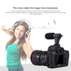 [UAE Warehouse] PULUZ 3.5mm Audio Stereo Recording Vlogging Professional Interview Microphone for DSLR & DV Camcorder, Smartphones