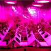 YouOKLight UFO Shape 50W Par Plant Grow Light, Metal Painting, 50 LED, Red + Blue Light, AC 100-265V, US Plug