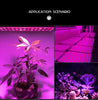 45W 144LEDs Full Spectrum Plant Lighting Fitolampy For Plants Flowers Seedling Cultivation Growing Lamps LED Grow Light AC85-265V