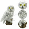 Solar Powered Owl Shape LED Night Light Garden Lawn Lamp(White)