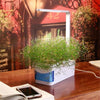 Hydroponic Indoor Herb Garden Kit Smart Multi-Function Growing Led Lamp(EU Plug)