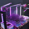 Hydroponic Indoor Herb Garden Kit Smart Multi-Function Growing Led Lamp(UK Plug)