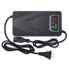 60V20Ah Two Lamp Electric Car Charger, CN Plug