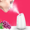 Maoer Fruit Vegetable Facial Face Steamer Household Spa Beauty Instrument Thermal Nano Spray Water Whitening Face Steamer Machine(