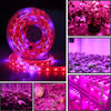 5m 300 LEDs SMD 5050 Full Spectrum LED Strip Light Fitolampy Grow Lights for Greenhouse Hydroponic Plant Non Waterproof(5 Red 1 Bl