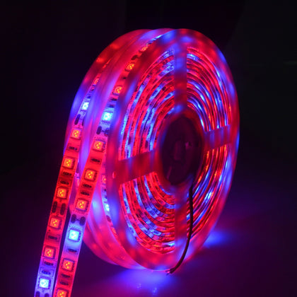 5m 300 LEDs SMD 5050 Full Spectrum LED Strip Light Fitolampy Grow Lights for Greenhouse Hydroponic Plant Waterproof(3 Red 1 Blue)