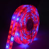 5m 300 LEDs SMD 5050 Full Spectrum LED Strip Light Fitolampy Grow Lights for Greenhouse Hydroponic Plant Waterproof(3 Red 1 Blue)