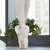 Ballet Lace Pointe Shoes Professional Flat Dance Shoes, Size: 31(Canvas)