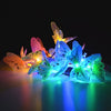 Solar Powered Butterfly Fiber Optic Fairy String Waterproof Christmas Outdoor Garden Holiday Lights, Size:4m 12LEDs