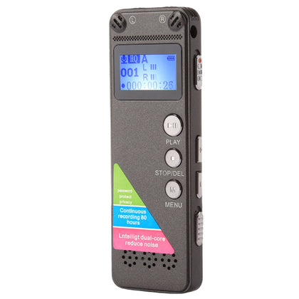 VM31 Portable Audio Voice Recorder, 8GB, Support Music Playback
