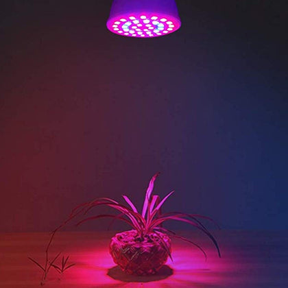 YWXLight 4W E27/E26 54 LEDs 2835 SMD LED Vegetative Grow Light